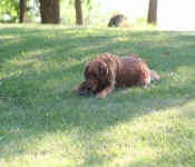 July4th2008 256